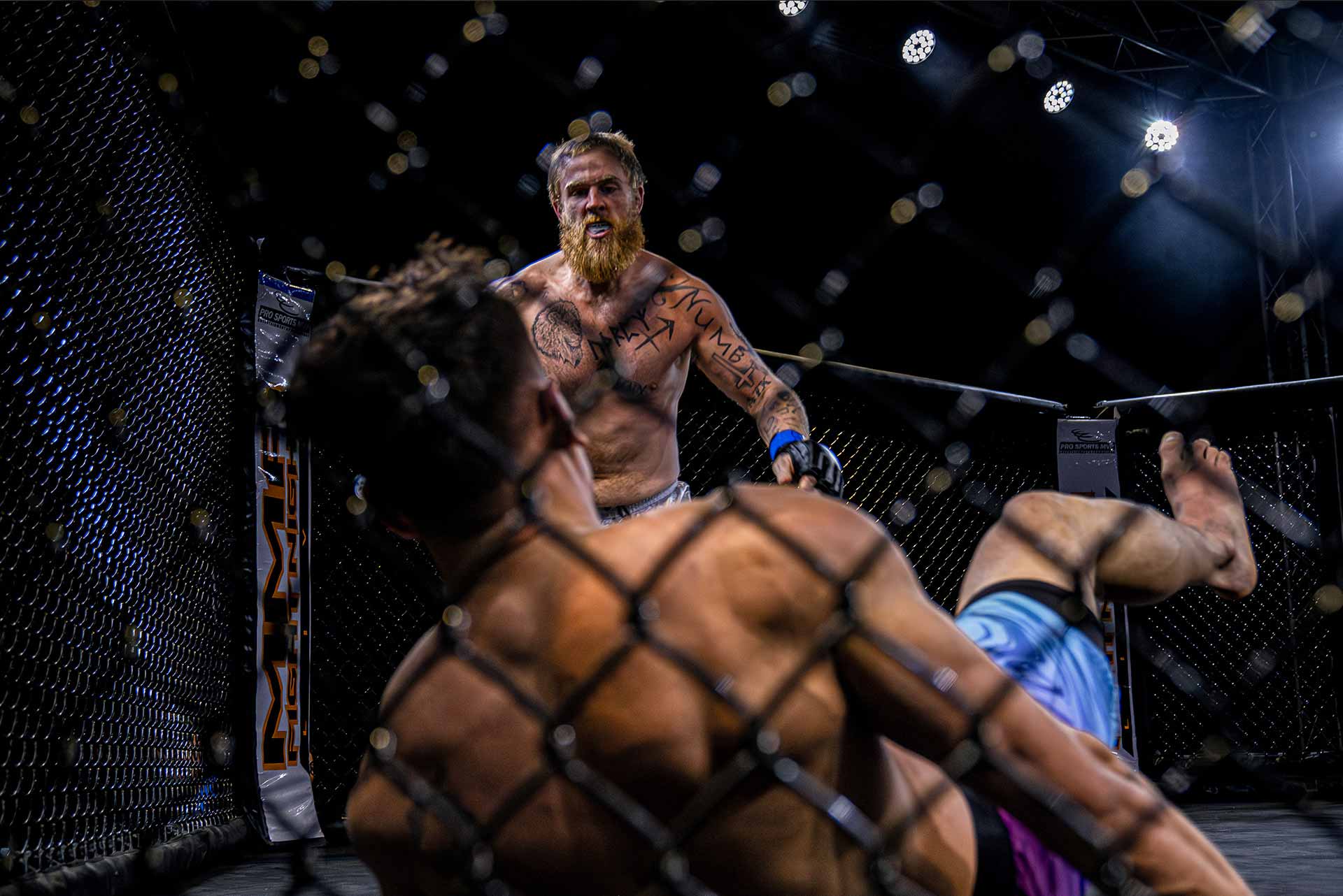 fighting in the cage